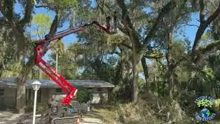 Now Serving Volusia to Orlando! Book Your Tree Service This Week 🌳✂️