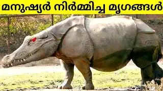 മനുഷ്യർ സൃഷ്ടിച്ച ജീവികൾ 😳 | Mysterious Animals Created By Humans | Fun & Facts Malayalam
