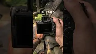 Capturing the Details with the new SHIFT Diopter Filters