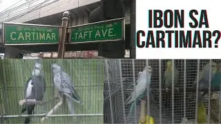 CARTIMAR PET SHOP/PRICE UPDATES.2021