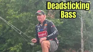 When The Deadsticking Technique Is Irresistible To Bass&hellip;