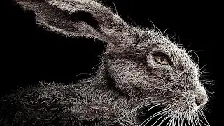 GYRS #8 Selfies, The Witch Movie Review & Funk