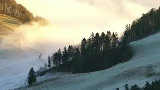 Forest Valley Fog Rolls &bull;&nbsp;Nature Background Music