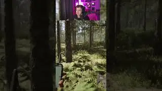 I can&rsquo;t be the only one #gaming #live #forestgame #sonsoftheforest