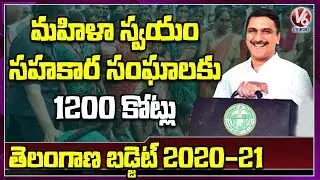 For Women Self-help Groups, Rs 1200 crore Allocated for Interest-free Loans | V6 News