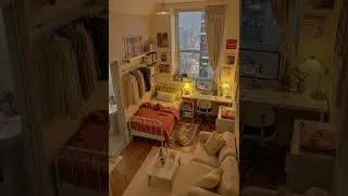 If you had a rainy night like this cozy room, would you curl up with the dog? 🌙🐾