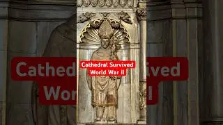 Inside W&uuml;rzburg Cathedral Rebuilt from the Ruins #cathedral #w&uuml;rzburg #germany #shorts #ytshorts