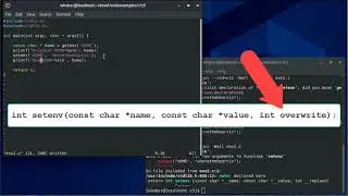 Updating Linux Environment Variables in C - setenv & putenv