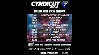 DNB Friday on Cyndicut Radio with DJ Melt Nov. 7, 2025 #dnb #drumandbass #jungledrumandbass #dj