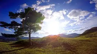 FPV - For the peace of mind