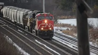 Good day in Brockville, Mallorytown and Prescot, December 15 2024