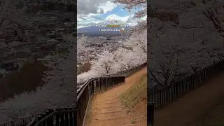 Did you know that Mt Fuji is actually not fully visible all year?🏔️ #japan #mtfuji #japantravel