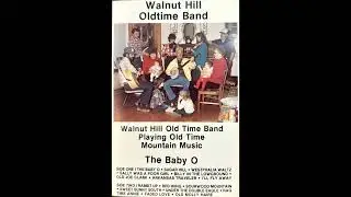 Walnut Hill Oldtime Band- Sally Was A Poor Girl