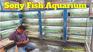 Sony Fish Aquarium Shop | Aquarium shop visit #pets&aquariumhobbyist #aquariumfish #aquarium