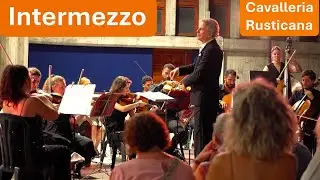 Pietro Mascagni - Intermezzo &middot; Cavalleria Rusticana &middot; Live in Concert 2025