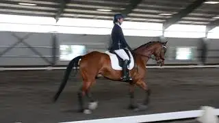 Lori Granfiels First level Frestyle  Sun 6 17 01