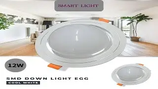 Efficiency Meets Elegance: 12W AC SMD Egg-Shaped Aluminum LED ceiling light #smdlight #ceilinglights