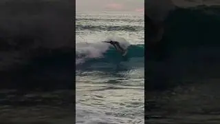 Сегодняшний сёрфинг на Бали