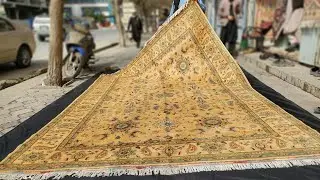 8x12 Warm Beige Persian Wool Area Rug, Hand-knotted in Maymana, Afghanistan