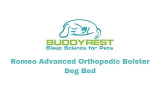 Romeo Advanced Orthopedic Bolster Dog Bed