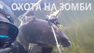 Подводная Охота 2016 . 