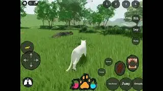 New Update On Royal Reserve (new Menu, New models and animations and more!) Read disc