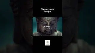 ​​​[Diamond Sutra]​ Samjna