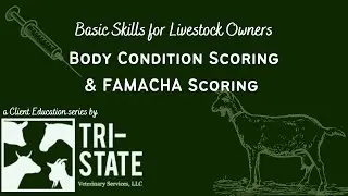 Basic Skills for Livestock Owners: Body Condition Scoring and FAMACHA Scoring
