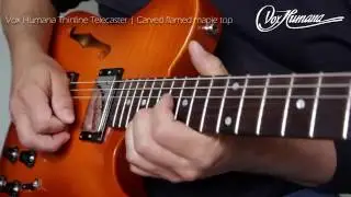 Vox Humana Carved Top TE-Thinline with Seth Lover Pickups