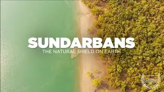সুন্দর ভয়ংকর সুন্দরবন | ম্যানগ্রোভ বন | Sundornan Drone | Largest Mangrove Forest Sundarbans |