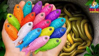 Catch Beautiful Aquarium Fish In Small Pond Baby Turtles, Eels, Frog, Pencil Fish, Molly Fish.Video 