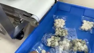 Pre-made Bag Fish Ball Vacuum Packaging Machine