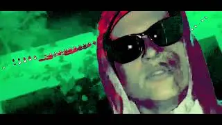 TRYL & LIL NOLS - DOGS