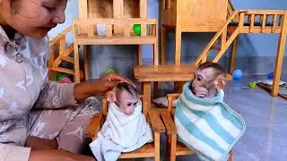 So Stranger Baby monkey Jella and Jully Wait milk after Take Shower