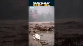 Haridwar, Chhatarpur, Mandi Face Floods | ₹800 Crore Loss In Himachal Rains | Crops, Roads Damaged