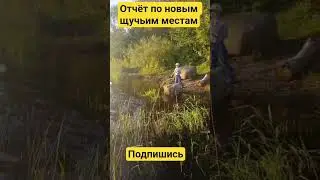 #fishing #балык #молитва #юмор #рыбалканафидер #рыбалканаозере #рыбалка #рыба #ангел #бог