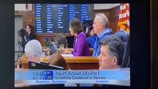 Joint Special Session Override Vetoes