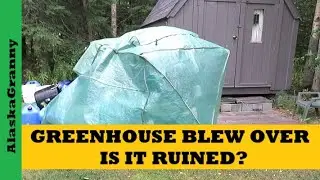 Portable Greenhouse Blew Over...Is It Destroyed