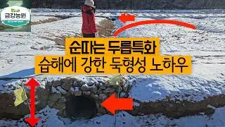 👍두릅나무 엄나무 재배지 조성하기👍