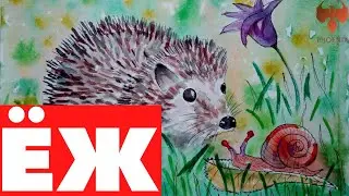 Чарушин Е.И. 