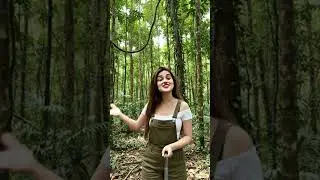 Amazon jungle #amazon #jungle #sciencefacts #vikings #automobile #shorts