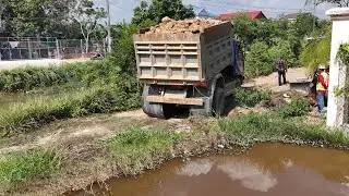 Nicely Started!! Flooded Region land filling Using Trucks NISSAN & Push by KomatSu