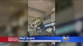 Large Brawl At Mall Causes Pandemonium