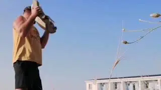 Best sports motivation