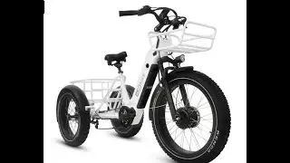 HJM Trihauler 750 Watt  ETrike - Delivery & 1st Ride