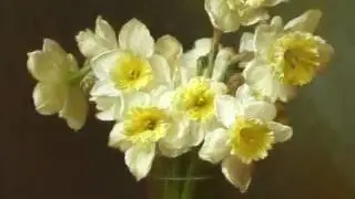 Melancholy Piano Waltz | For Anna