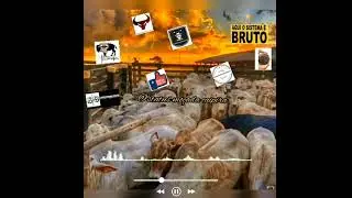 Eduardo Costa - Feito Eu | Mod&atilde;o Para Status + Letra