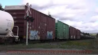 CN 5768 Leads A 4-Unit Lash Up On CN 406