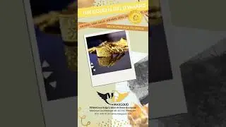 Maxgoud goudinkoop