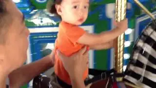 08.09.14 h&h turtle back zoo carousel ride